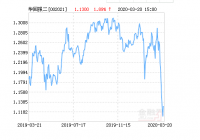华夏回报二号基金最新净值涨幅达1.89％