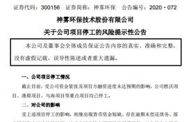 神雾环保:受公司资金紧张及项目方融资进度未达预期的影响