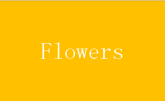 少女百合推理游戏《Flowers》最终篇发售 享9折优惠