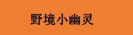 《野境小幽灵》PC版将于9月22日发售 暂不支持中文