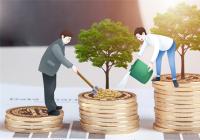 巴菲特抄底台积电半导体板块大涨近7% 进入技术性牛市